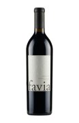 Favia Cerro Sur