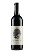 Pursued By Bear Cabernet Sauvignon