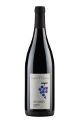 Chinon Les Graves Fabrice Gasnier