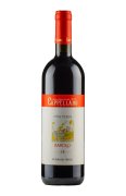 Barolo Otin Fiorin Pie Rupestris Cappellano