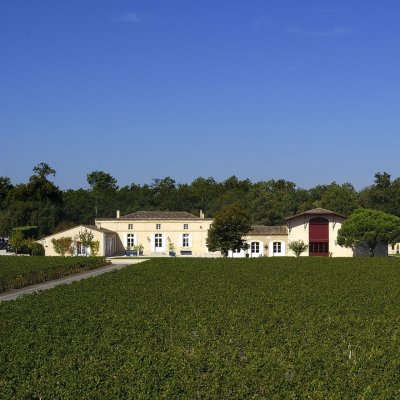 Domaine de Chevalier produces both red and white wine