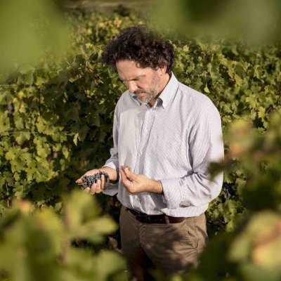 A stand-out name on the Tuscan wine scene, the wines of Masseto are produced from vines first planted in the 1980s.