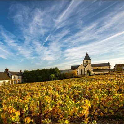 Salon makes wine exclusively from the Le Mesnil vineyard