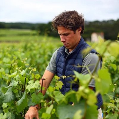 Henri Boillot has a history dating back to the 1880s, but the wines produced from their Meursault-based winery are undeniably modern, approachable and ranked among some of the very best in the region